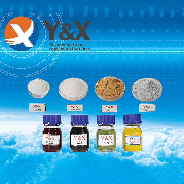 Cina Y&X Beijing Technology Co., Ltd. Profil Perusahaan 