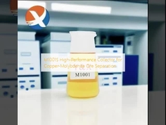 Kolektor Kinerja Tinggi M1001S untuk Pemisahan Bijih Tembaga-Molibdenit